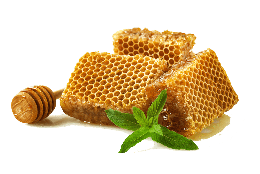 honeycomb with a sprig of mint yhu2hcw.png